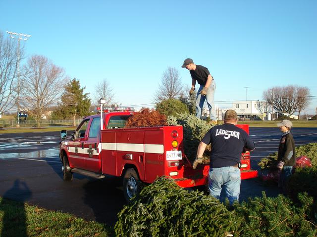Christmas Tree Pick up 2007